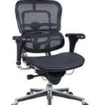 Ergohuman High Back Swivel Chair with Headrest