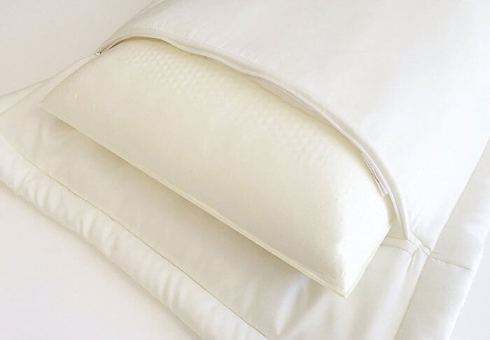 Best Value Down Alternative Pillow