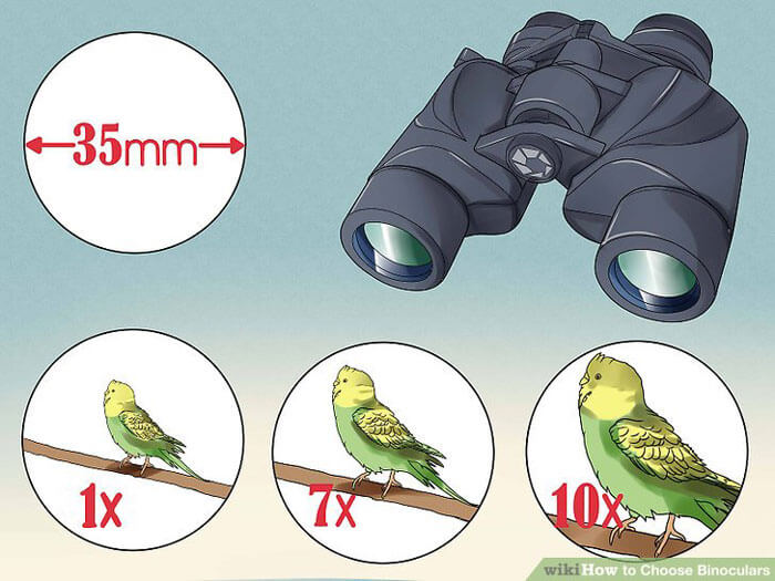 How To Choose Binoculars