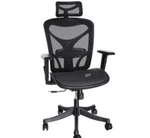Ancheer Ergonomic Office Chair