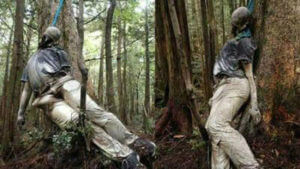 Suicide Forest, Japan Scariest Places On Earth And World